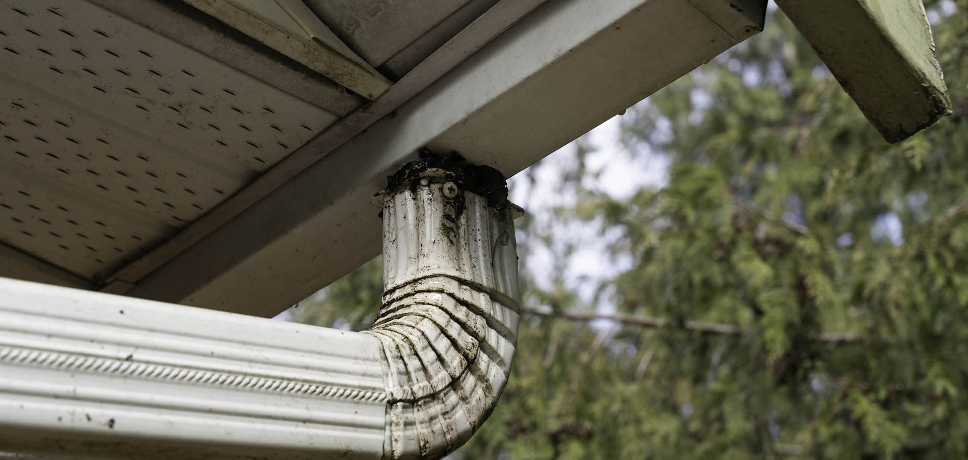 Dirty gutters cause all sorts of problems for homeowners and businesses in Middle Tennessee.