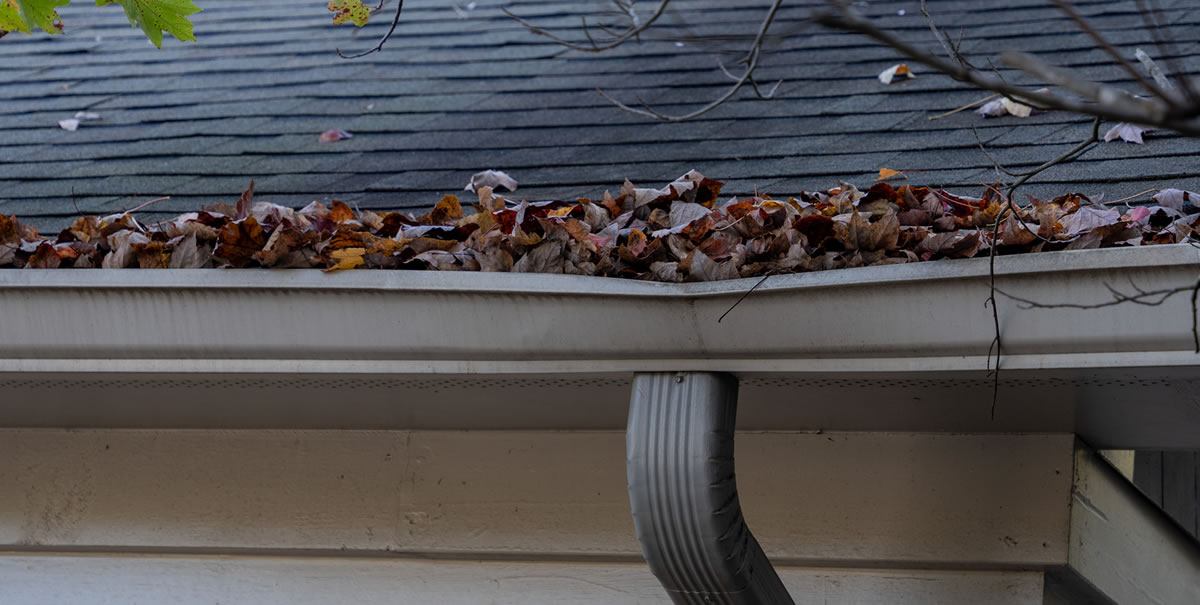 Preventive Gutter Maintenance